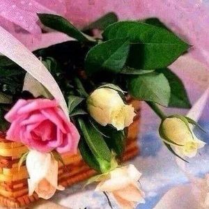 Meet your Posher, Mettou